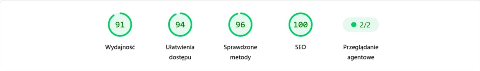 Wyniki audytu wydajności