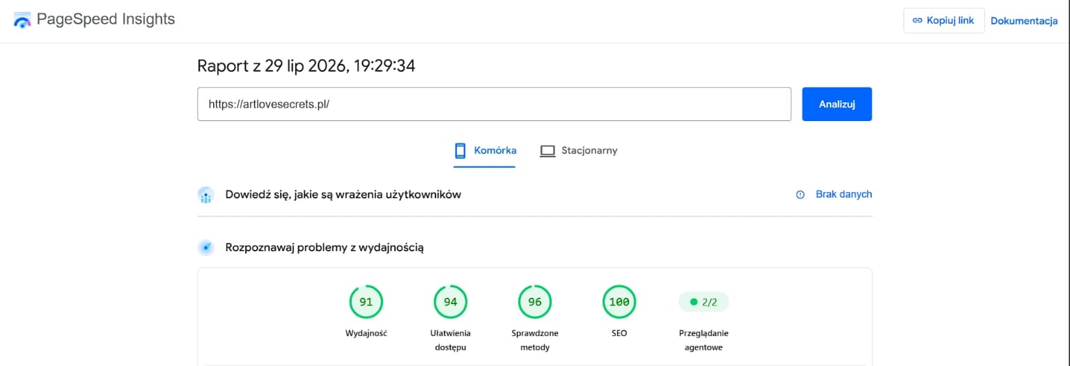 Google PageSpeed Wynik 100/100
